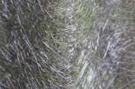 Goosemoor Green fibreglass roof work